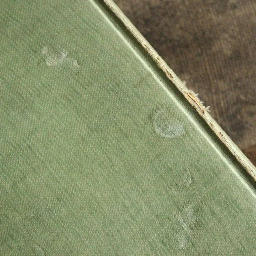 Vintage Antique 1910s Book, "Mother Carey's Chickens", by Kate Douglas Wiggin, - Picture 6 of 16